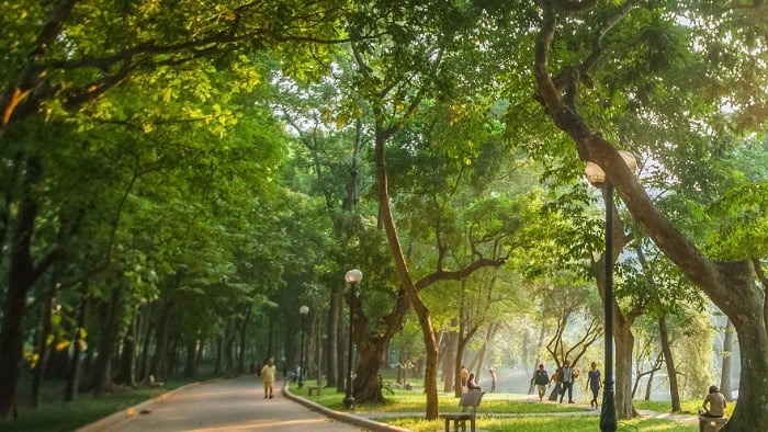 Công viên Bách Thảo là địa điểm tổ chức giải chạy lý tưởng cho ngày hè nóng bức 