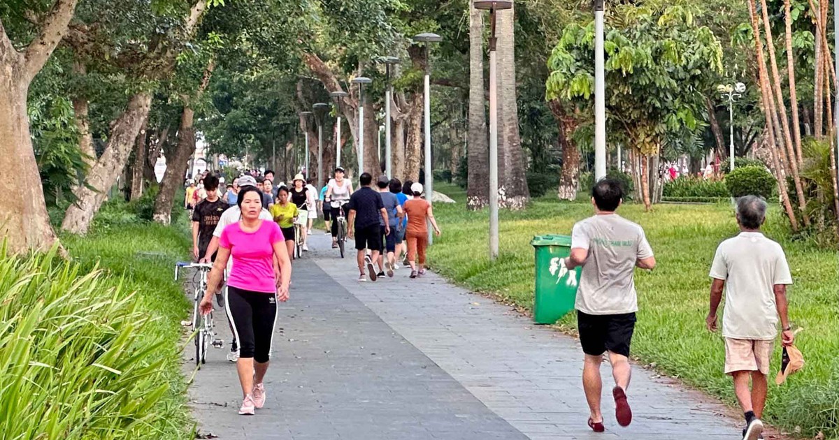 Người bệnh tim mạch nên tập luyện vào khung giờ nào tốt nhất?